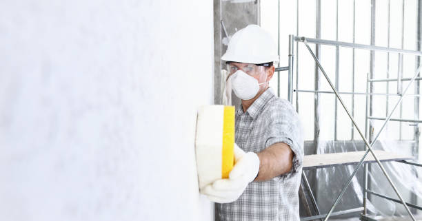 Best Commercial Mold Inspection  in Gibbstown, NJ